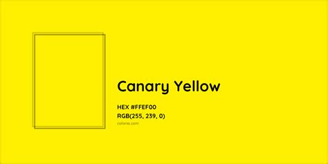 Canary yellow magic bait